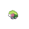 shaymin